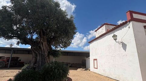 Foto 2 de Casa o chalet en venta en Écija, Sevilla