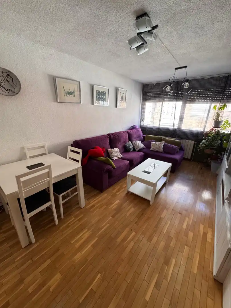 Sala d'estar de Pis en venda en Madrid amb Aire condicionat i Calefacció