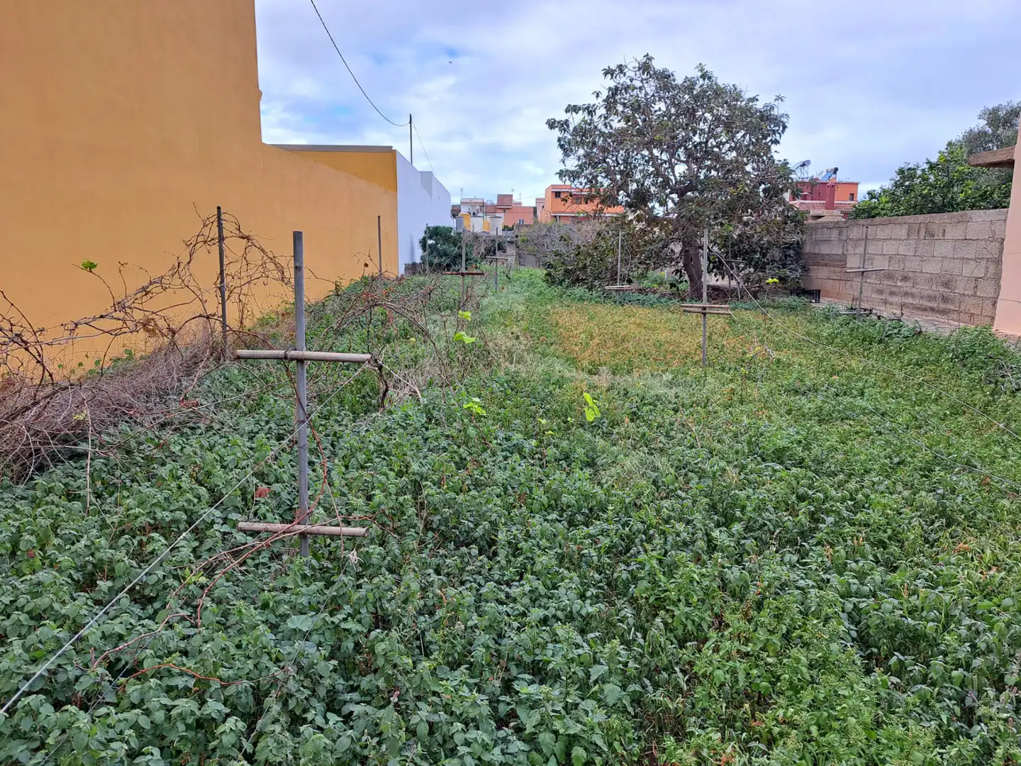 Residential land for sale in Tejina, imagen 18