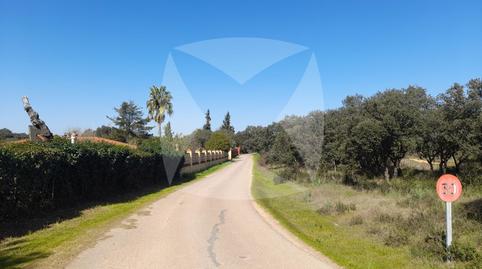 Photo 4 of Residential for sale in Diseminados Malas Aradas, Dehesilla de Calamón - Campomanes, Badajoz Capital