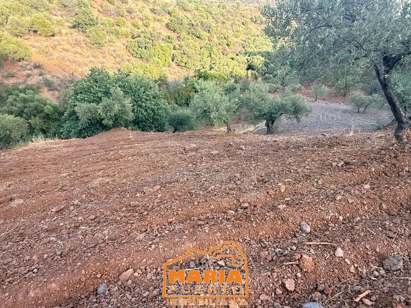 Terreno rustico in vendita a Almogía, imagen 11