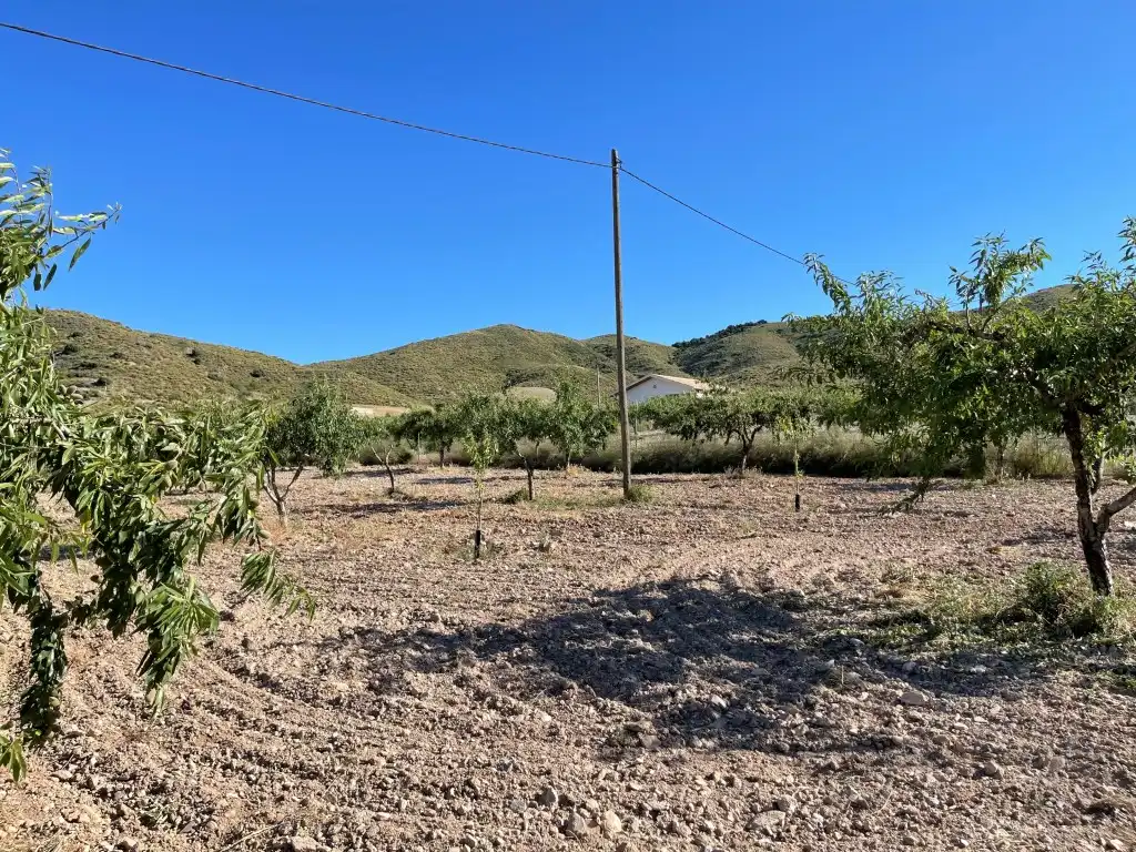 Finca rústica en venda en Pedanías Oeste