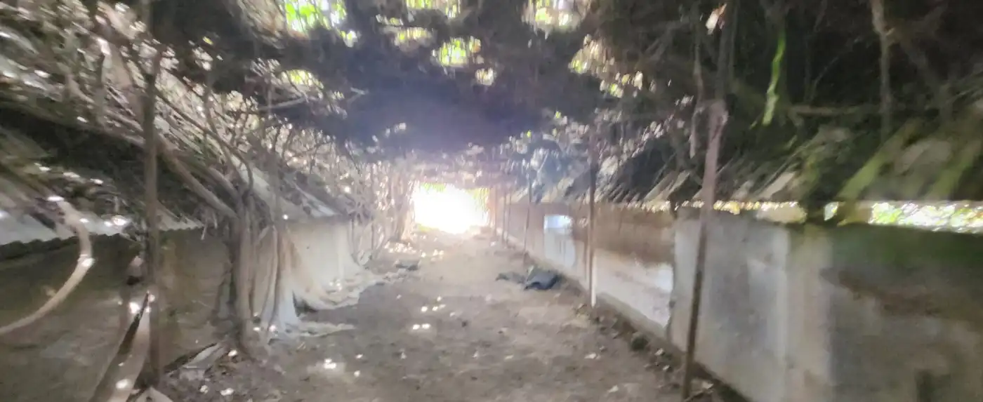Terreno rustico in vendita a Vial Camino, imagen 19