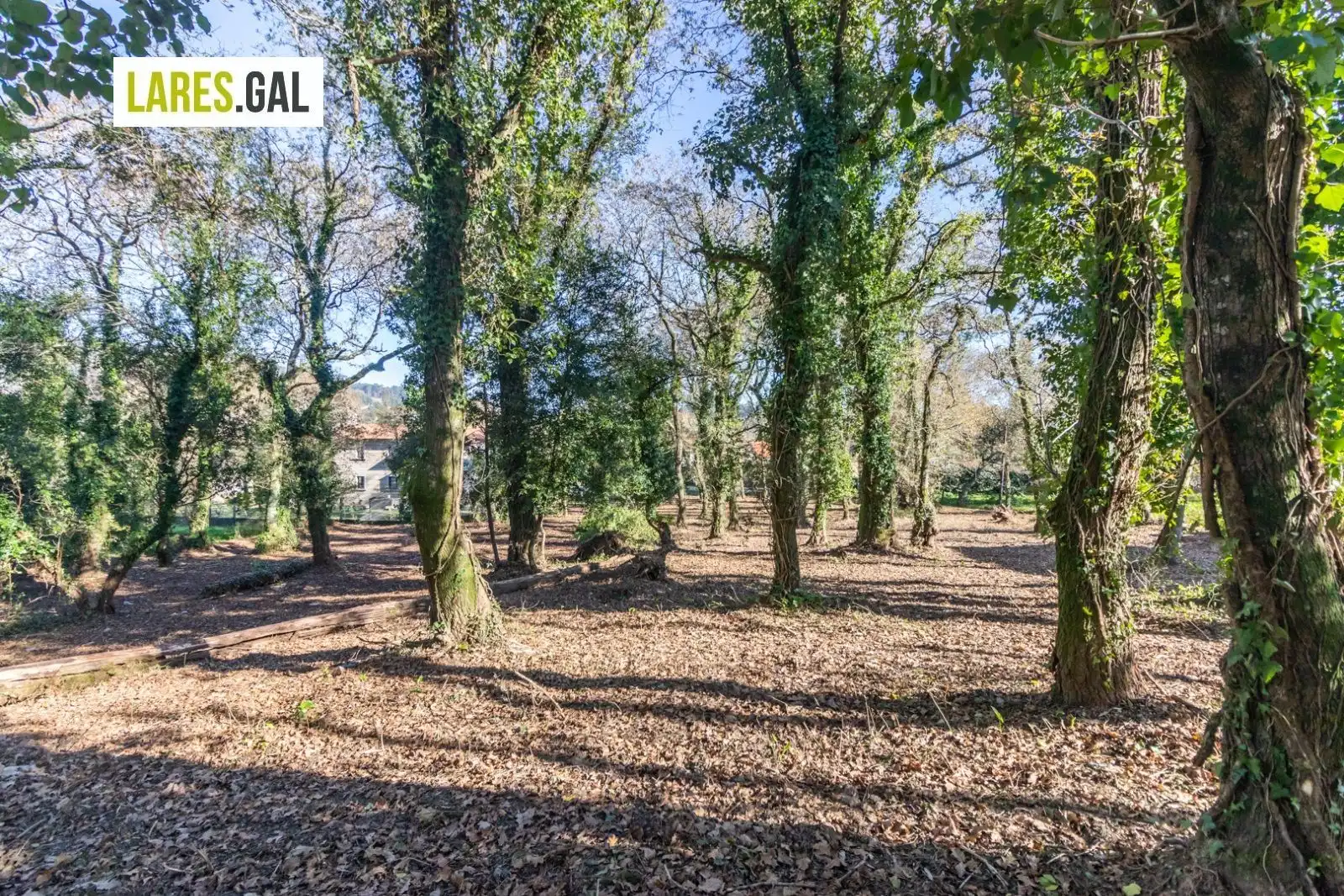 Lands and plots for sale in Rúa Ximeu, imagen 12