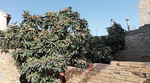 Foto 3 de Finca rústica en venda a Barrio las Barracas, Benejúzar, Alicante