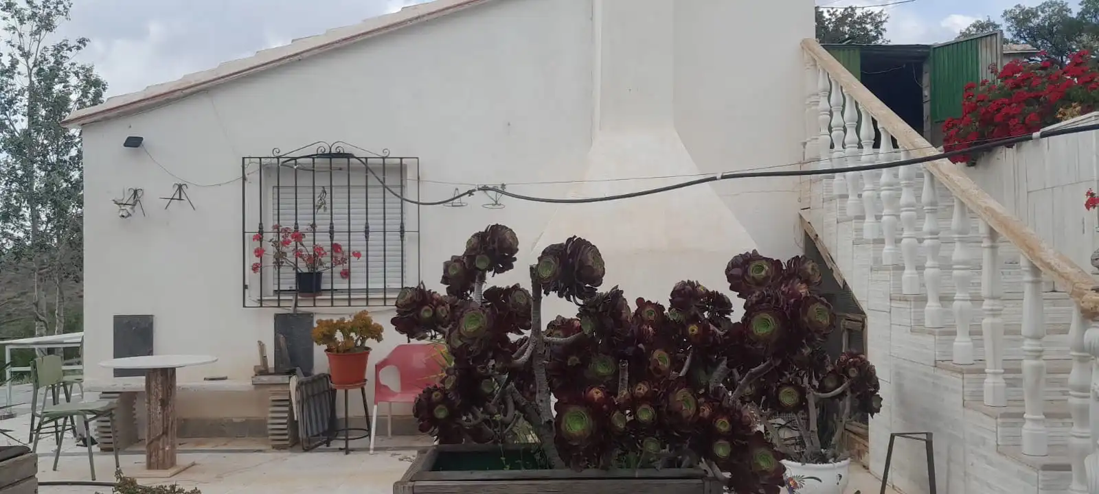 Terreny rústic en venda a Calle Carretera de Almeria, imagen 5