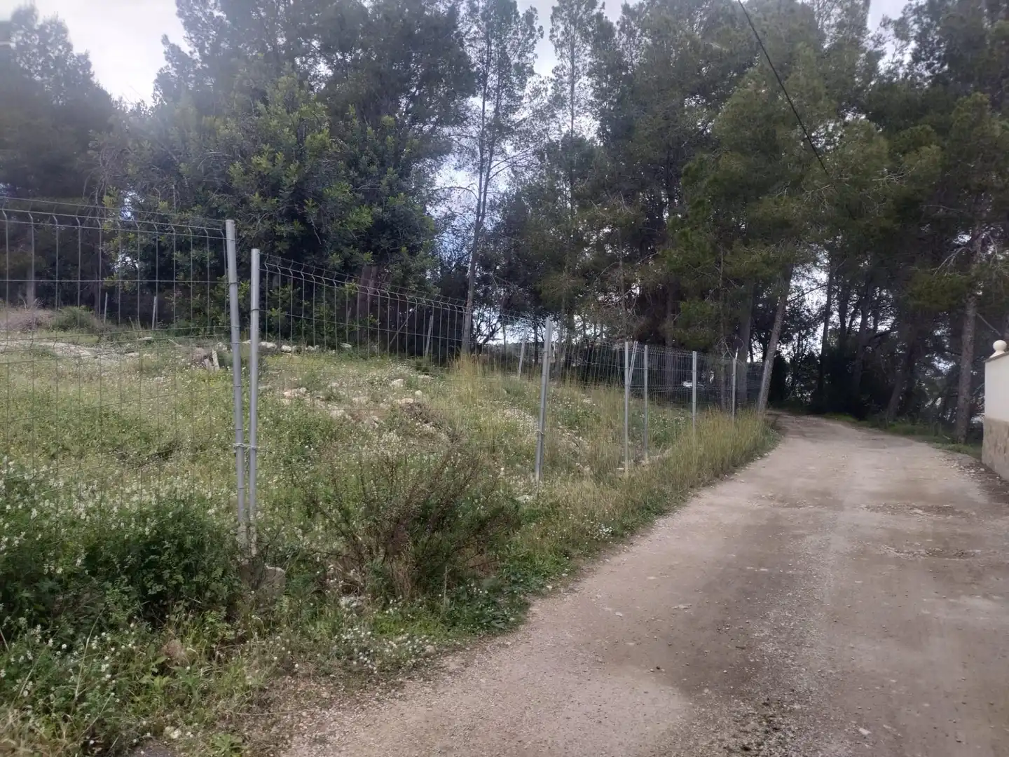 Terreny residencial en venda a L'Alcúdia de Crespins, imagen 3