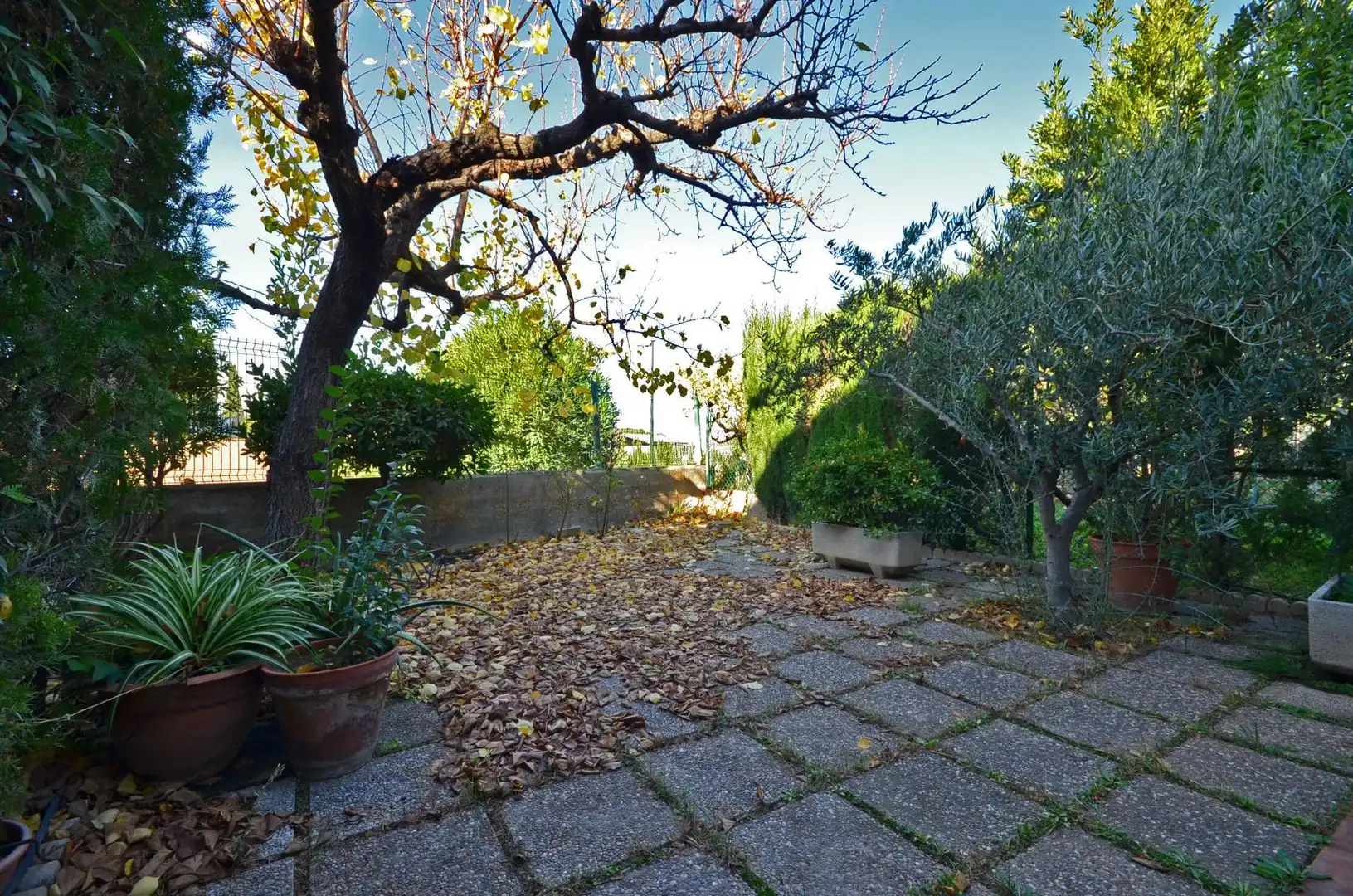 Garden of Detached homes for sale in Zaragoza