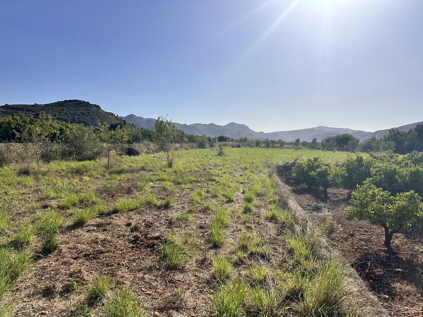 Terreno rustico in vendita a Pego, imagen 7