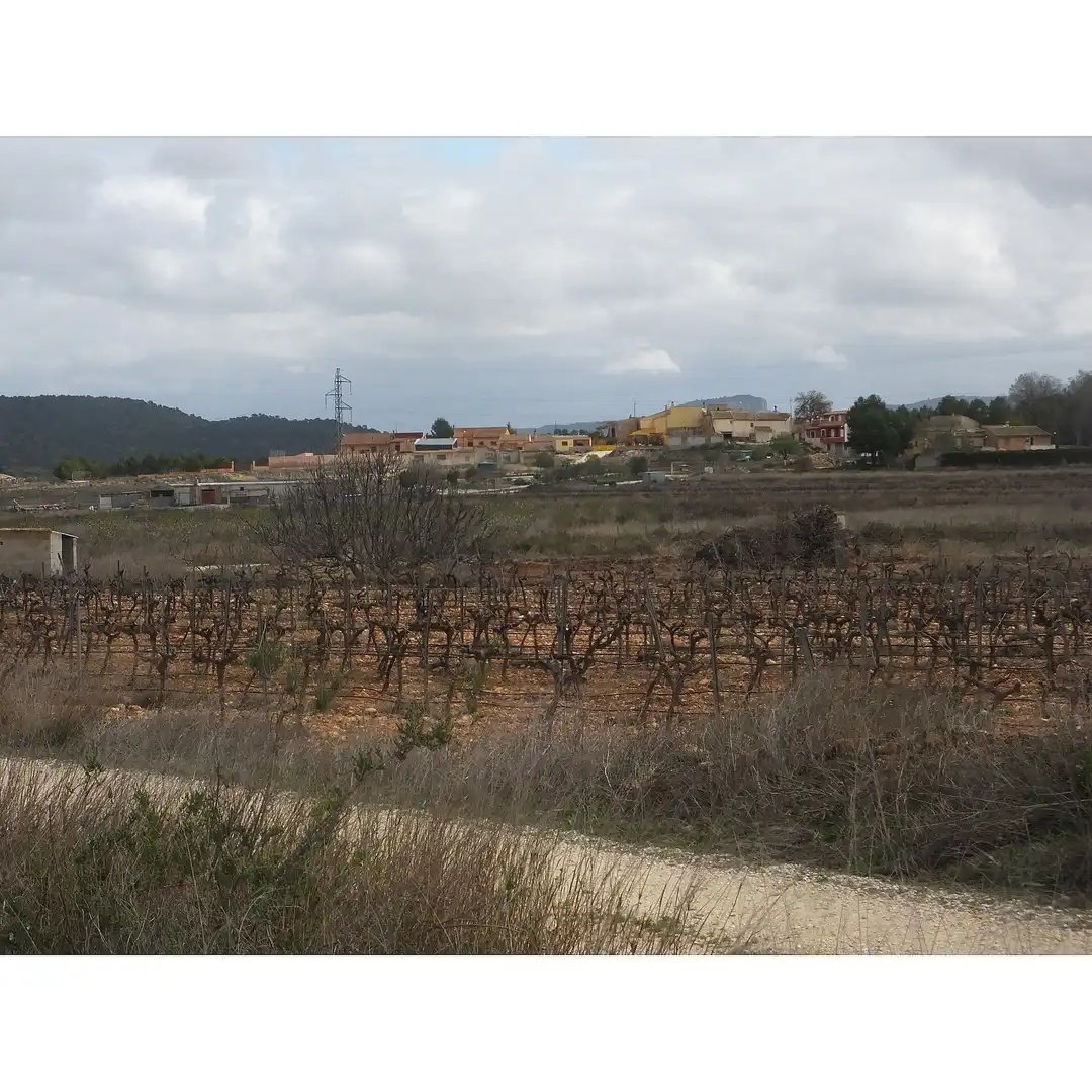Rustikales Grundstück zum Verkauf in El Pinós / Pinoso, imagen 3