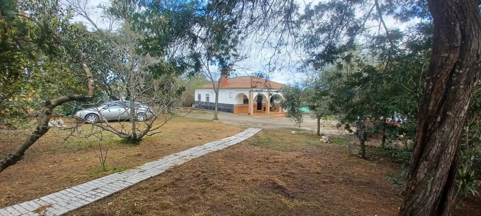 Haus zum Verkauf in Castilblanco de los Arroyos, imagen 32