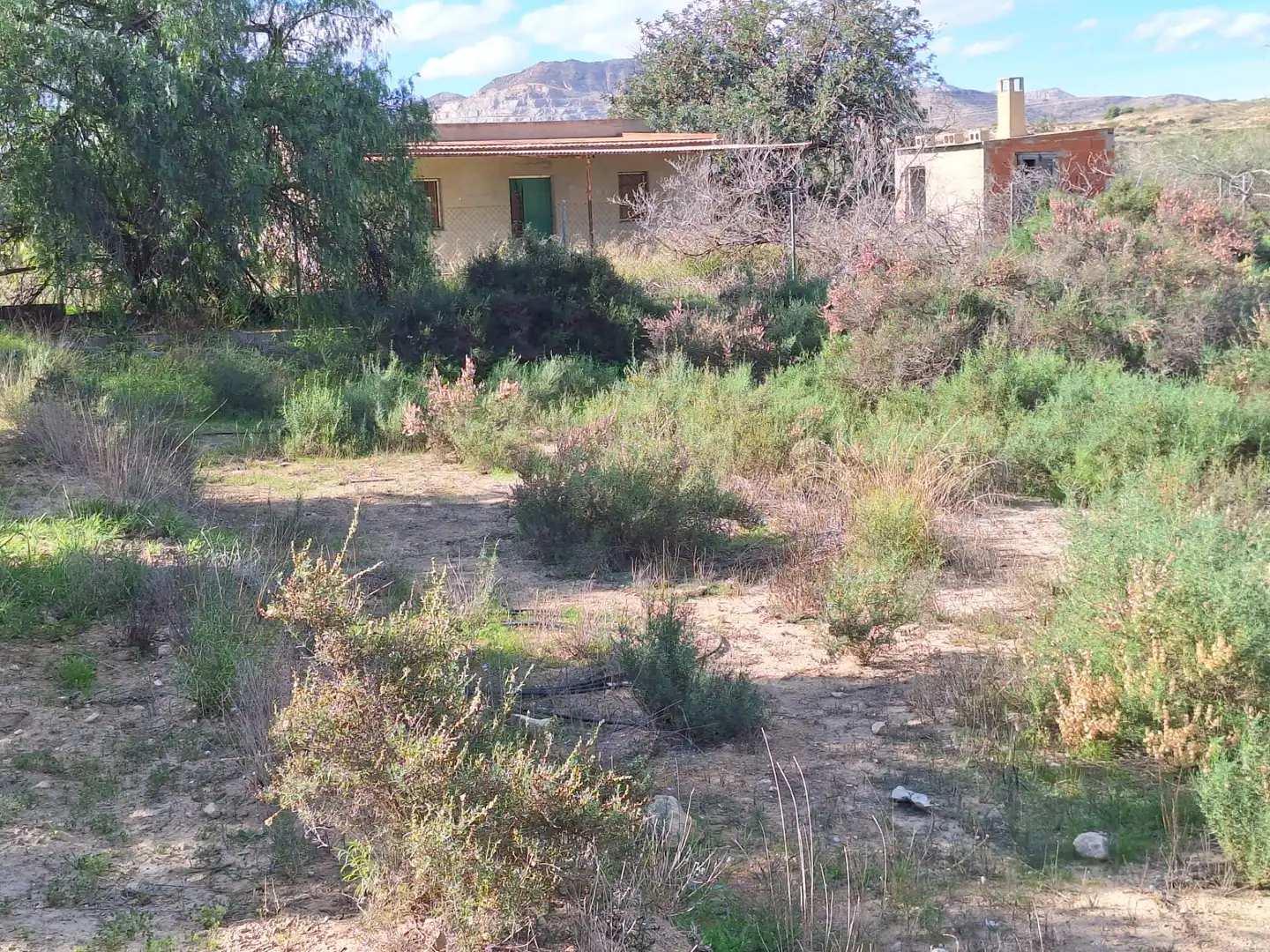 Finca rústica en venta en Alicante / Alacant con Trastero