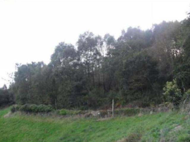 Terreno en Venta en N/A, -1 en Navia