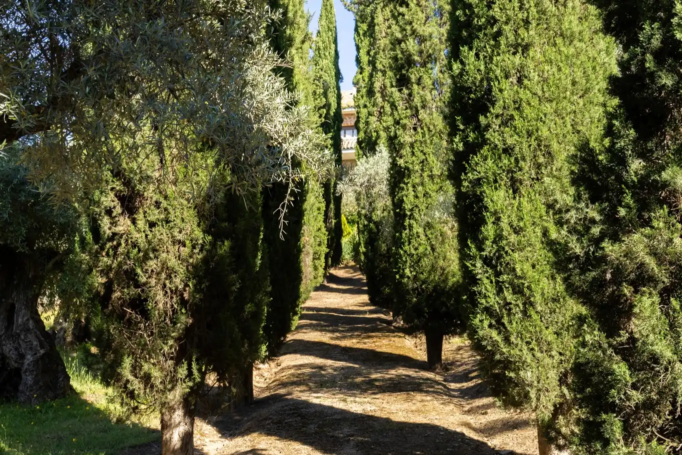 Garden of Houses for sale in Toledo  with Air Conditioner, Heating and Private garden
