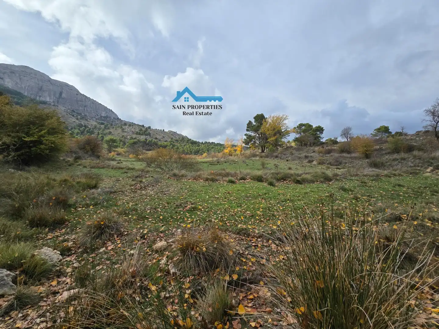Maison avec jardin à vendre à Confrides, imagen 59