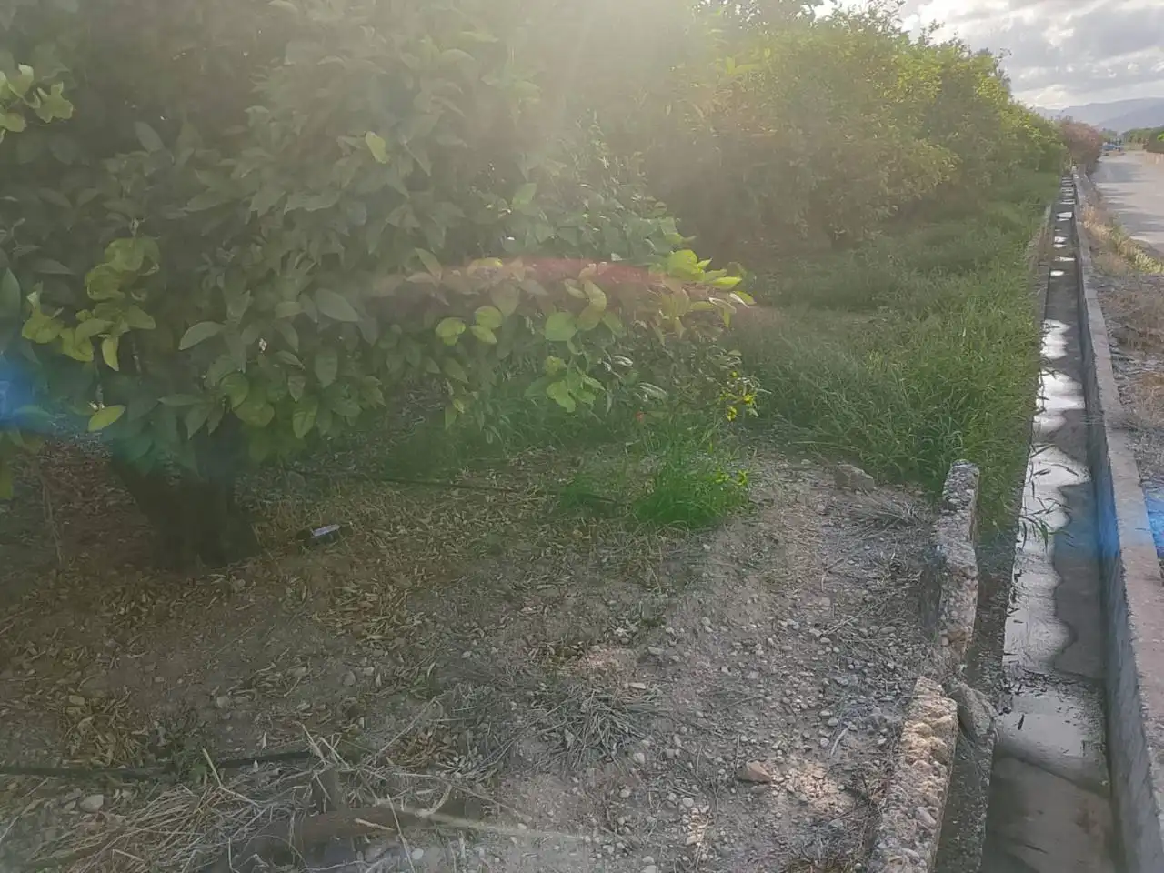 Terreny rústic en venda a Camino Viejo de Xátiva, imagen 6
