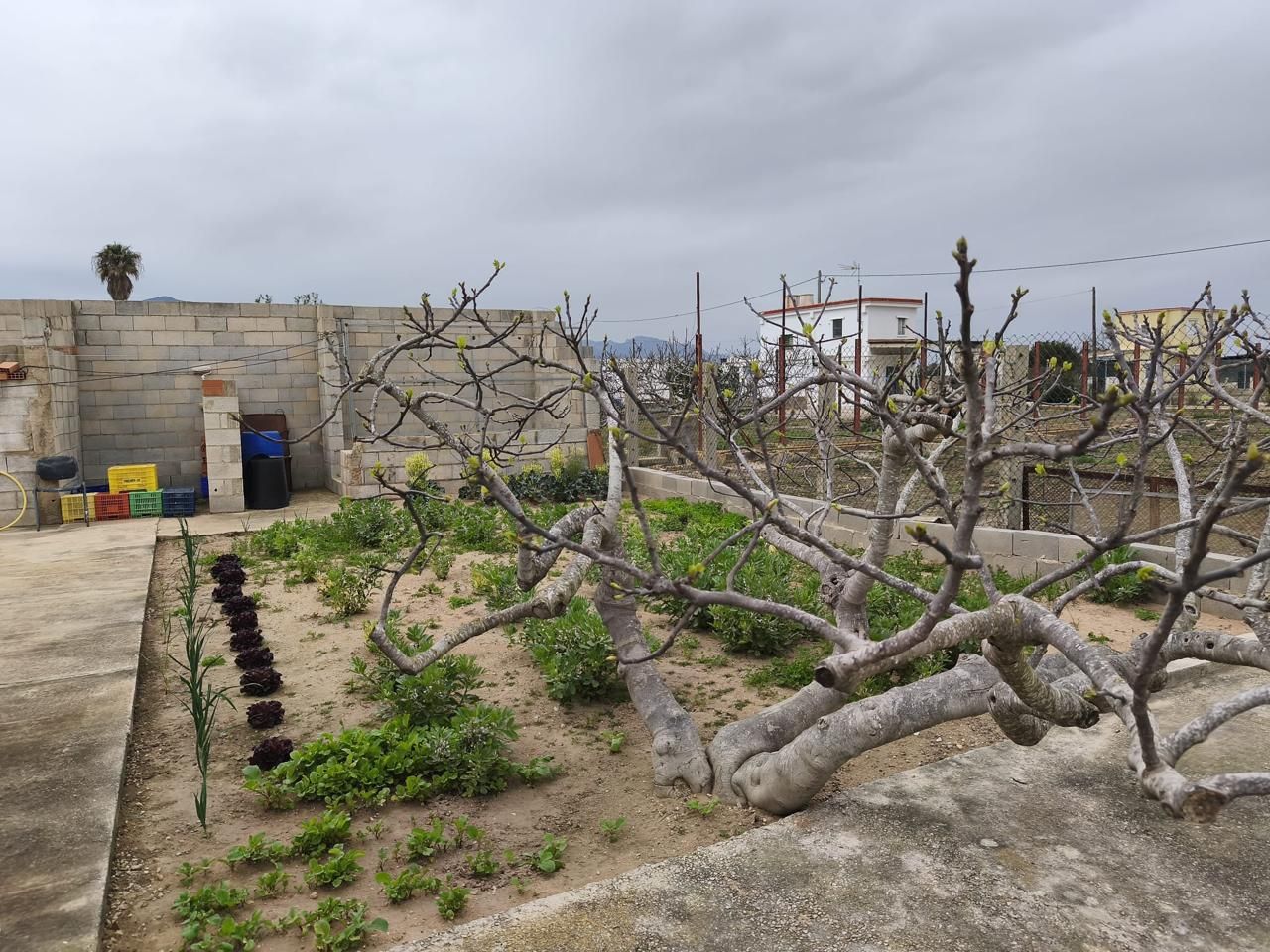 Garden of Country house for sale in Cullera  with Air Conditioner, Heating and Private garden