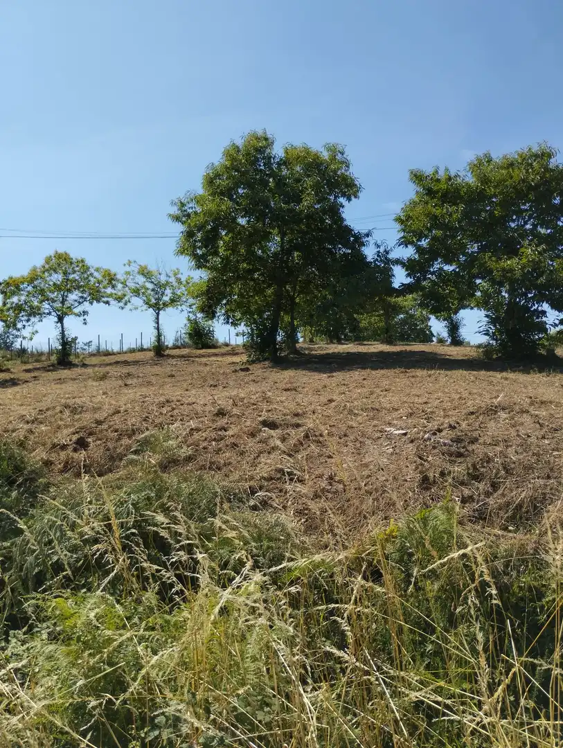 Terreny residencial en venda a Lugar San Mamede 8, imagen 2