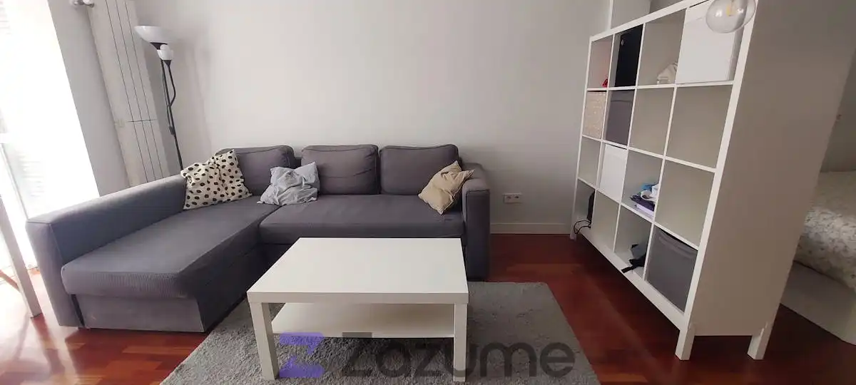 Sala d'estar de Estudi de lloguer en Madrid amb Aire condicionat, Calefacció i Parquet