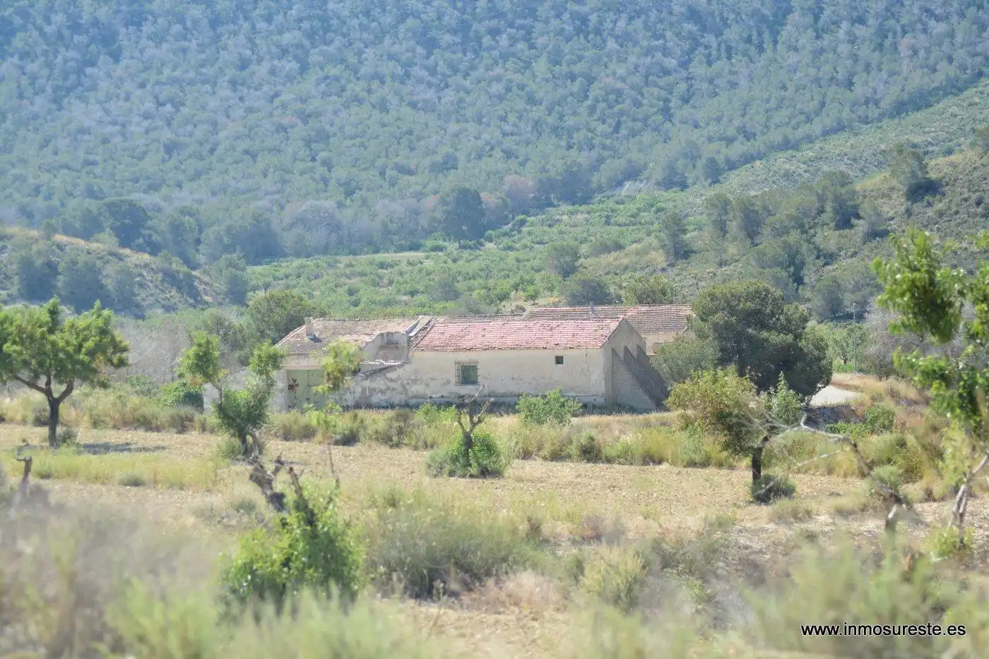 Terreno rustico in vendita a Campo de Murcia, imagen 10