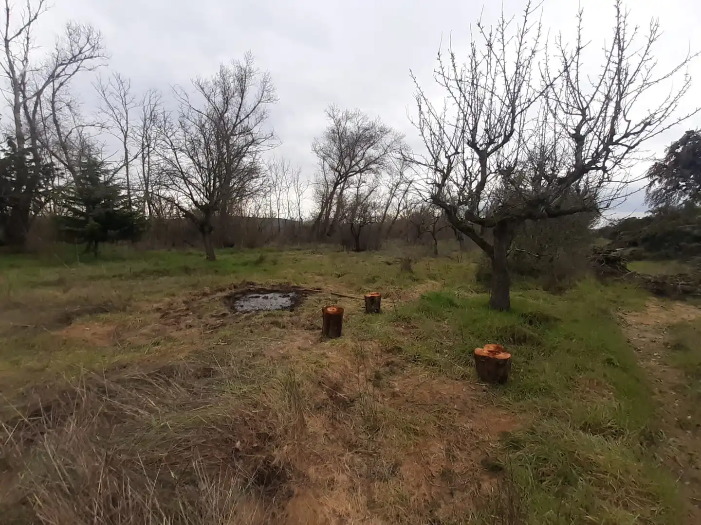 Terreni e lotti in vendita a Fresno de la Ribera, imagen 5