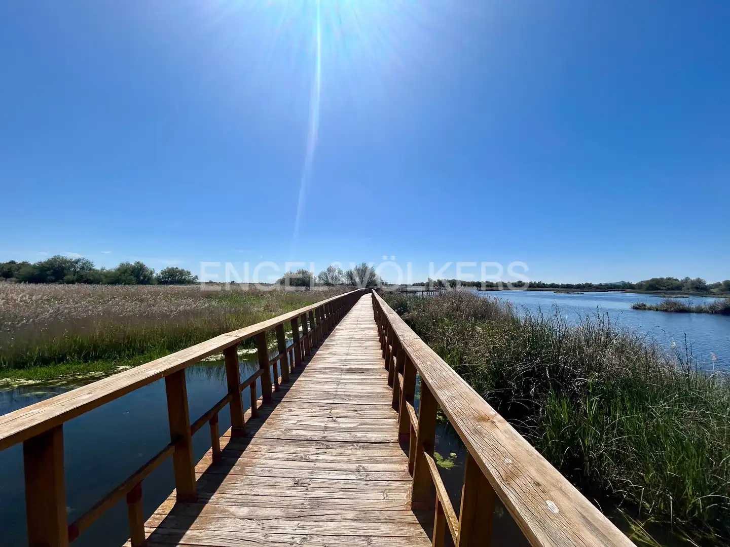 Vista exterior de Casa o chalet en venta en Daimiel con Aire acondicionado, Calefacción y Jardín privado