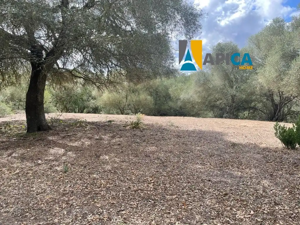 Terreni e lotti in vendita a Vejer, imagen 7