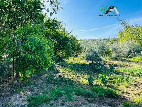 Terreni e lotti in vendita a Baeza, imagen 24