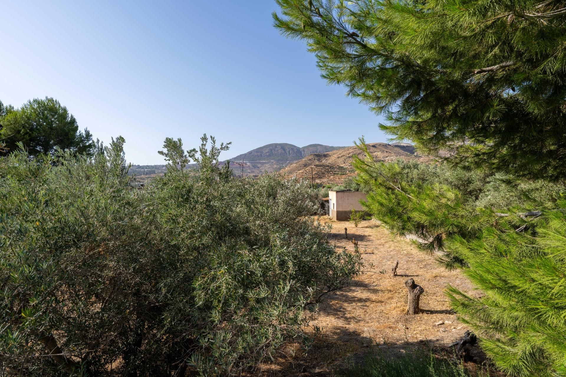 Finca rústica en venda en Alhabia amb Jardí privat i Alarma