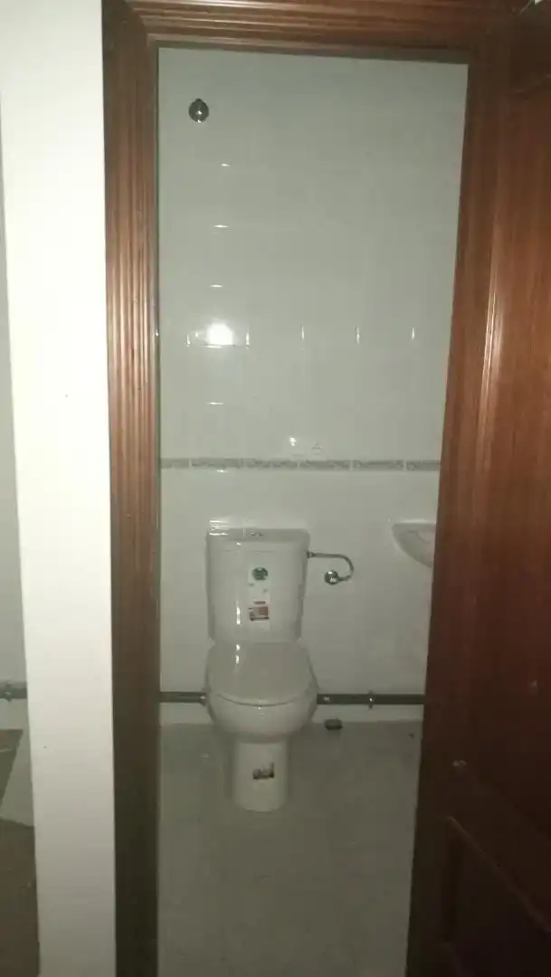 Bany de Local en venda en Cantillana