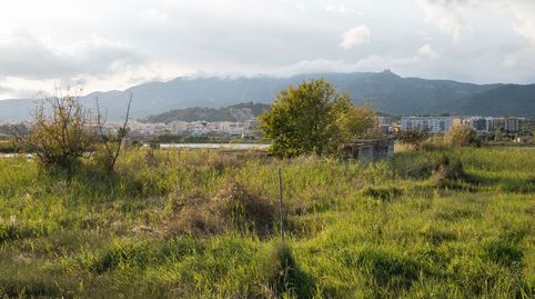 Finca rústica cerca de la población con una casa de aperos, imatge 3