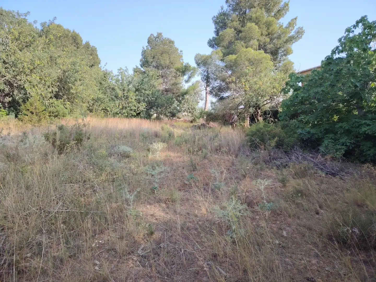 Residential land for sale in Parque de la Bombilla, imagen 4
