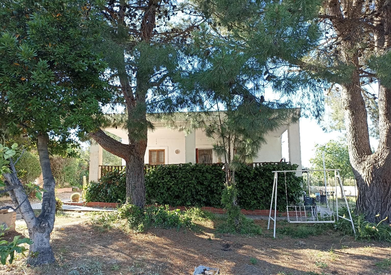 Vista exterior de Casa o xalet en venda en Cheste amb Terrassa, Traster i Piscina