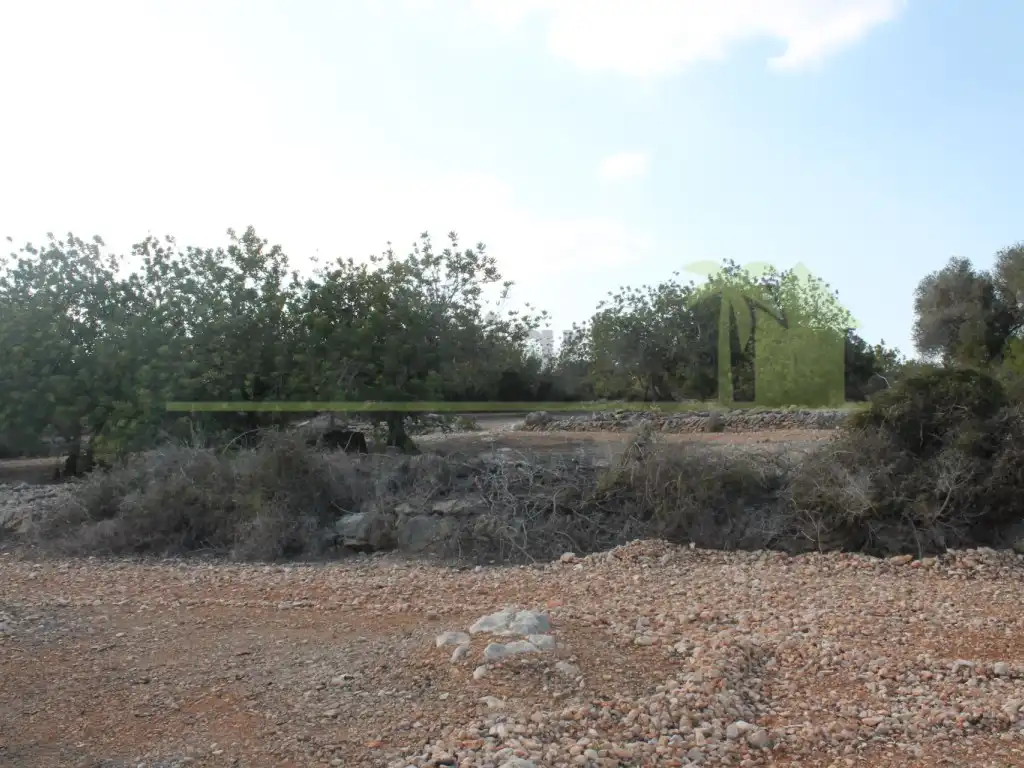 Rural land for sale in Poligono Poligono 50, imagen 2