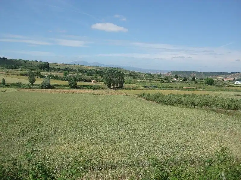 Terreny rústic en venda a Villamediana de Iregua, imagen 2