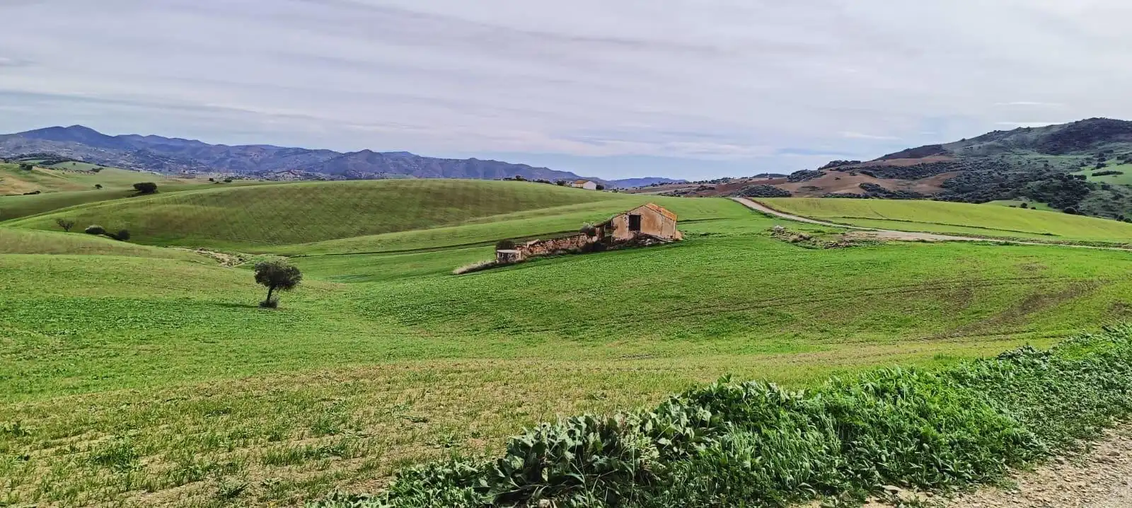 Rustikales Grundstück zum Verkauf in Villanueva de la Concepción