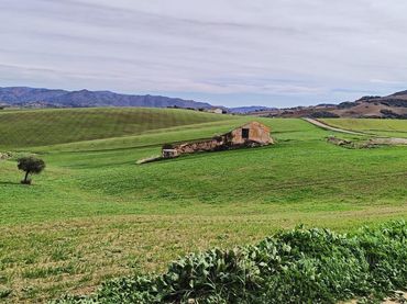 Terreno rustico in vendita a Villanueva de la Concepción