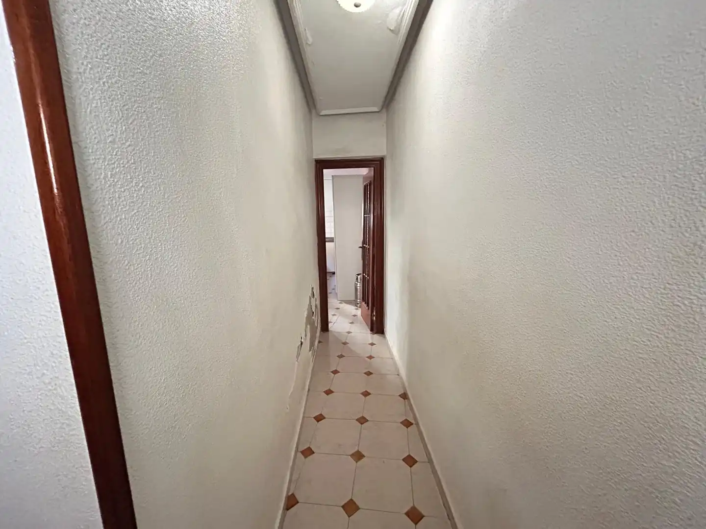 Casa amb jardí en venda a Dolores, imagen 28