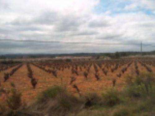 Terreno residencial en Venta en Cortes de Pallás