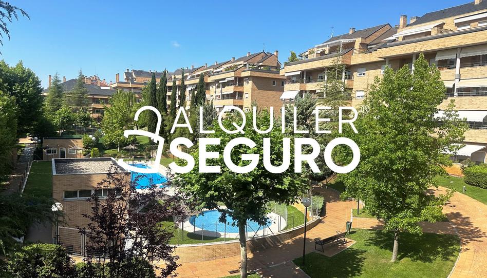 Photo 1 of Flat to rent in Norias , Zona Monte El Pilar, Madrid