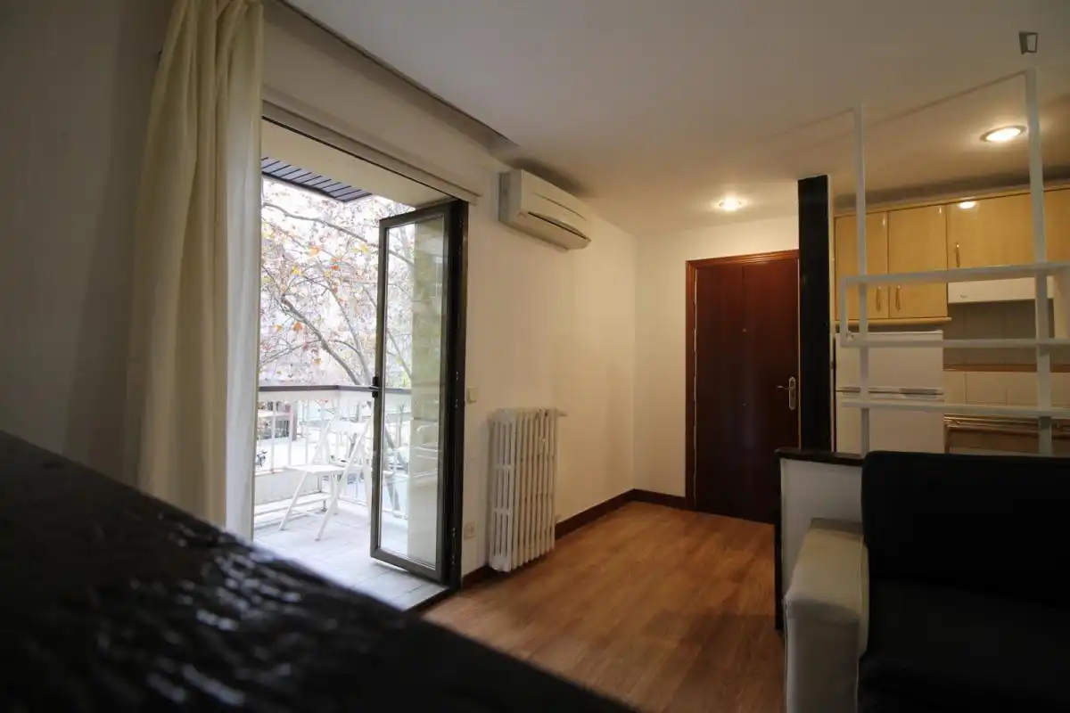 Estudio de alquiler en Nueva España