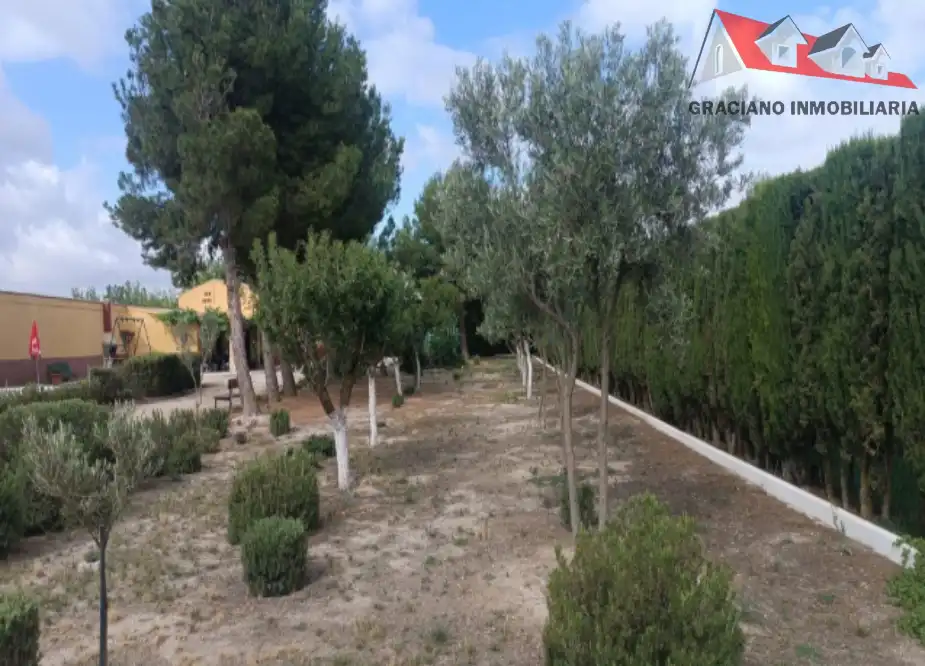 Houses for sale in Albacete  with Private garden and Swimming Pool