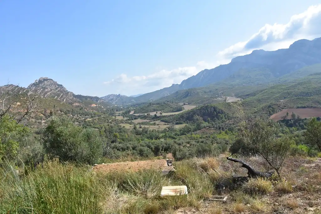 Rural land for sale in Mas de la Riba 1, imagen 12