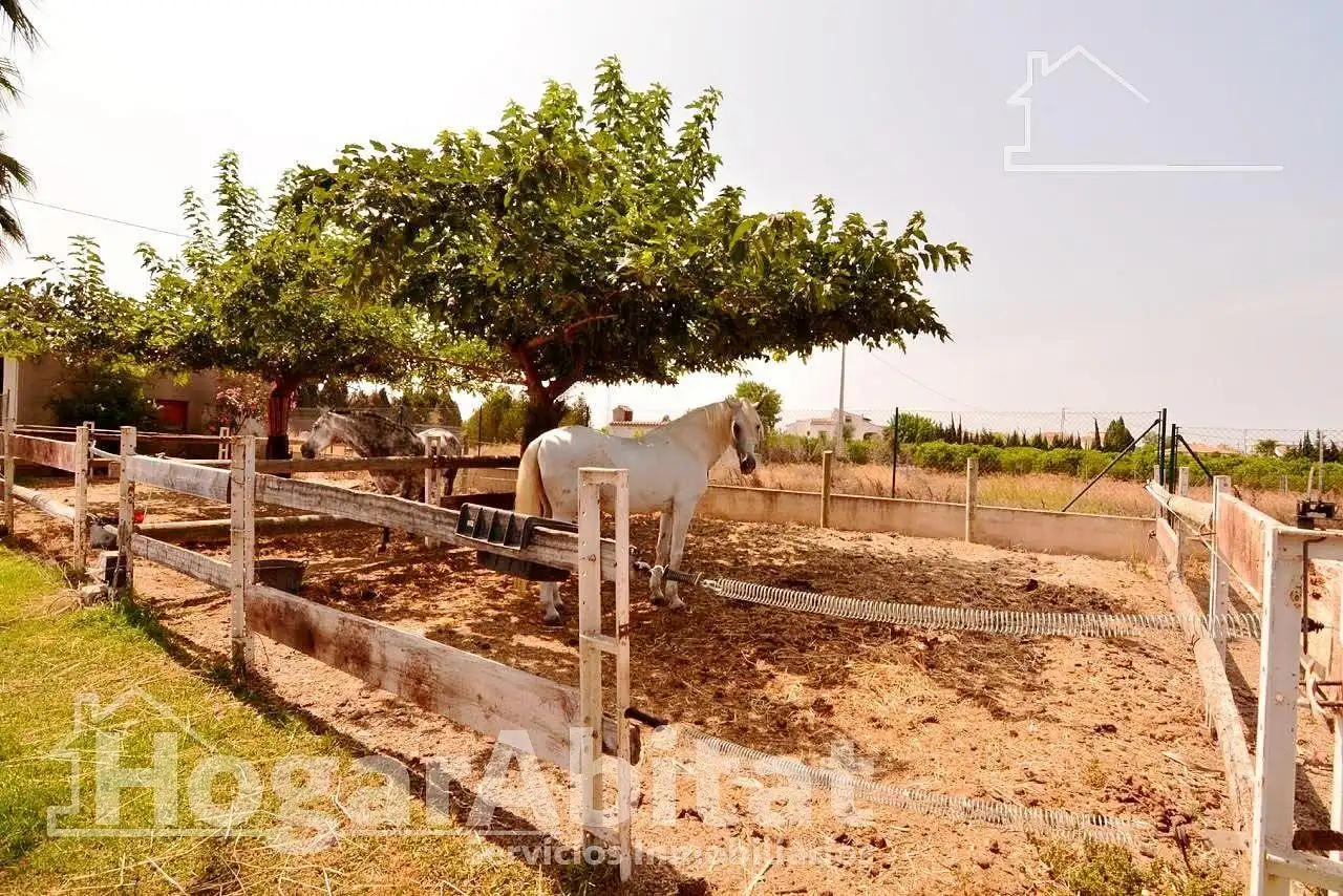 Jardí de Casa o xalet en venda en Oliva amb Aire condicionat, Jardí privat i Terrassa