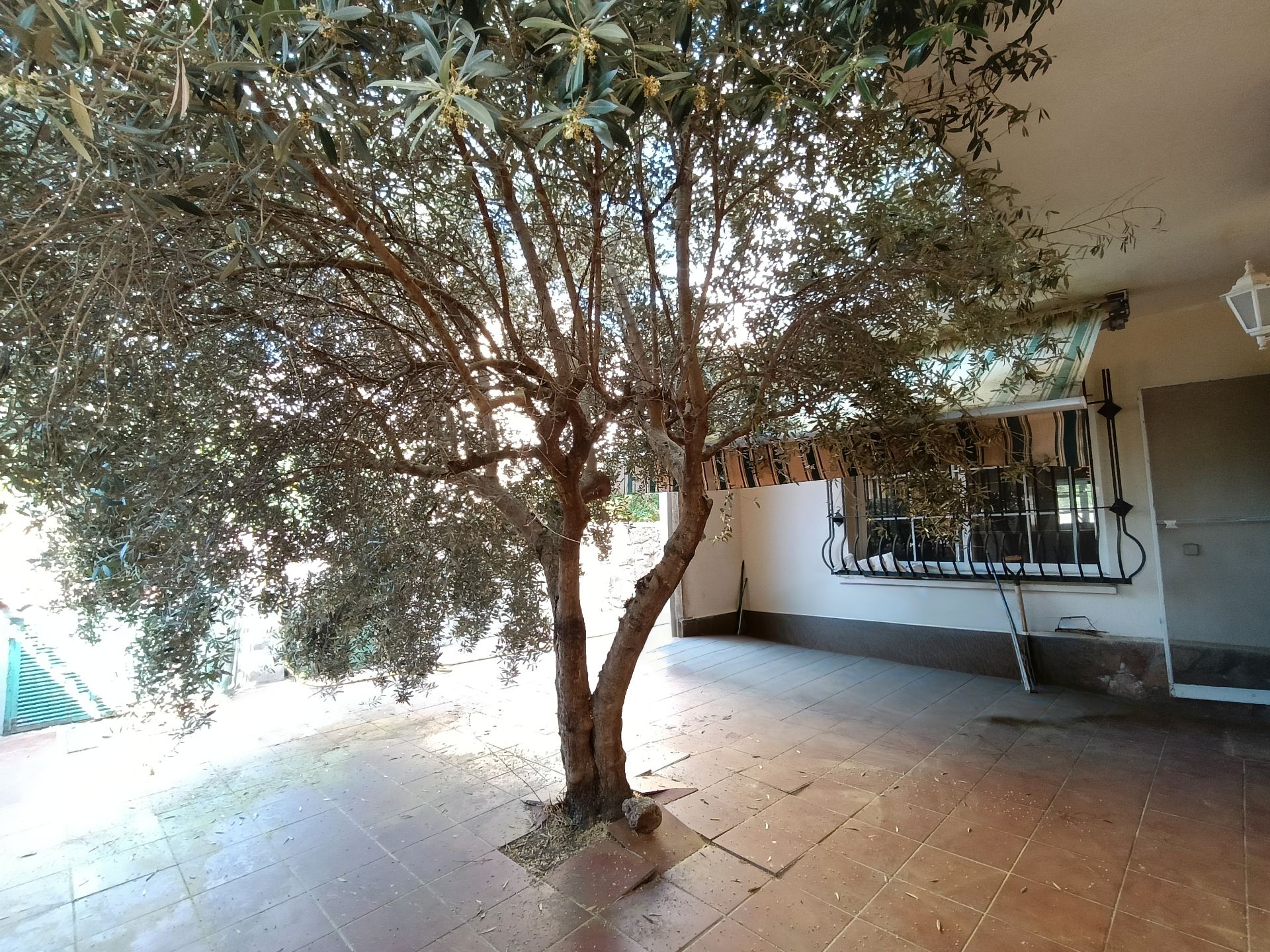 Jardí de Casa o xalet en venda en Talavera de la Reina amb Aire condicionat, Calefacció i Jardí privat