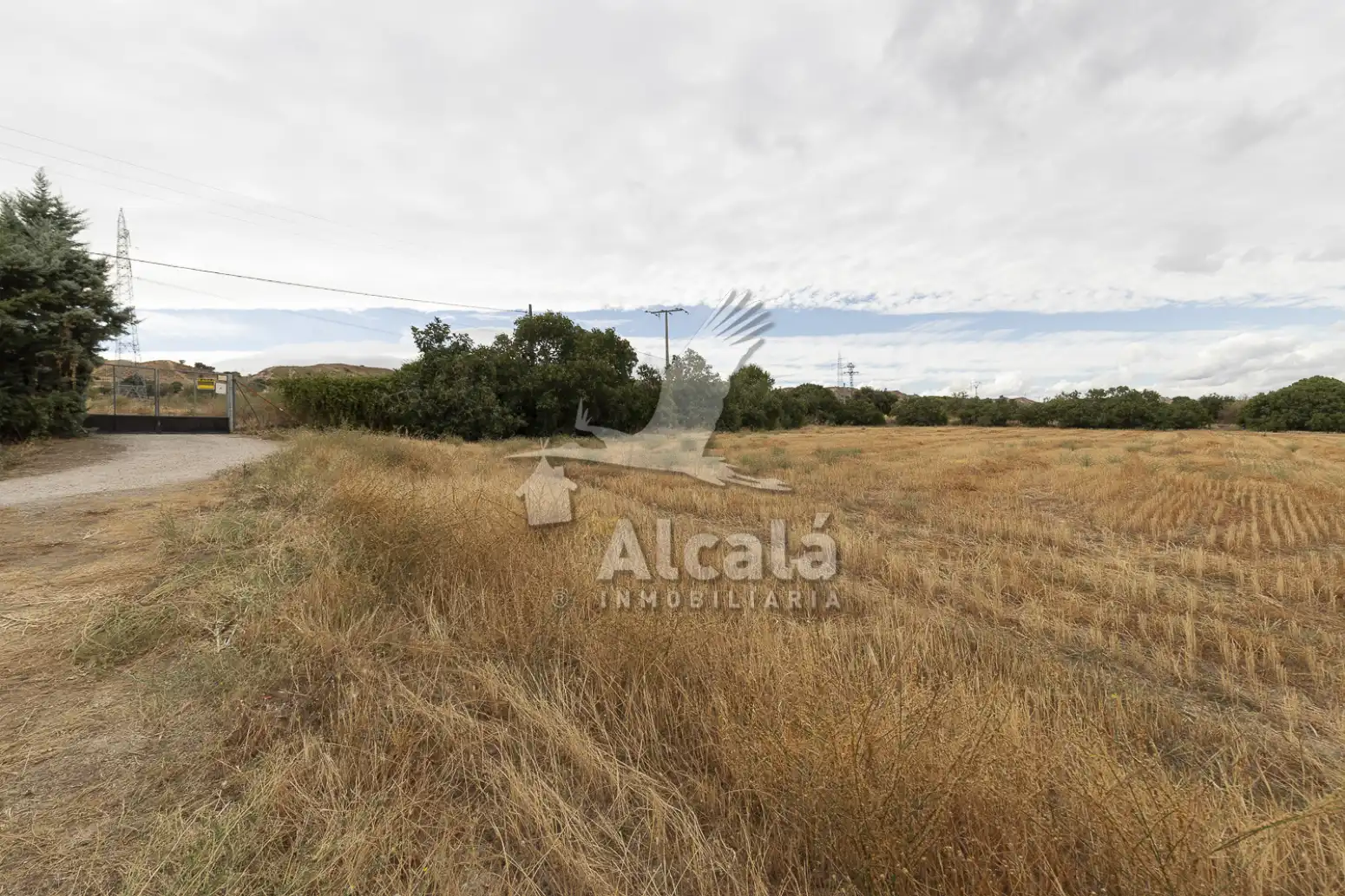 Haus oder Chalet zum Verkauf in El Molar (Madrid) mit Schwimmbad