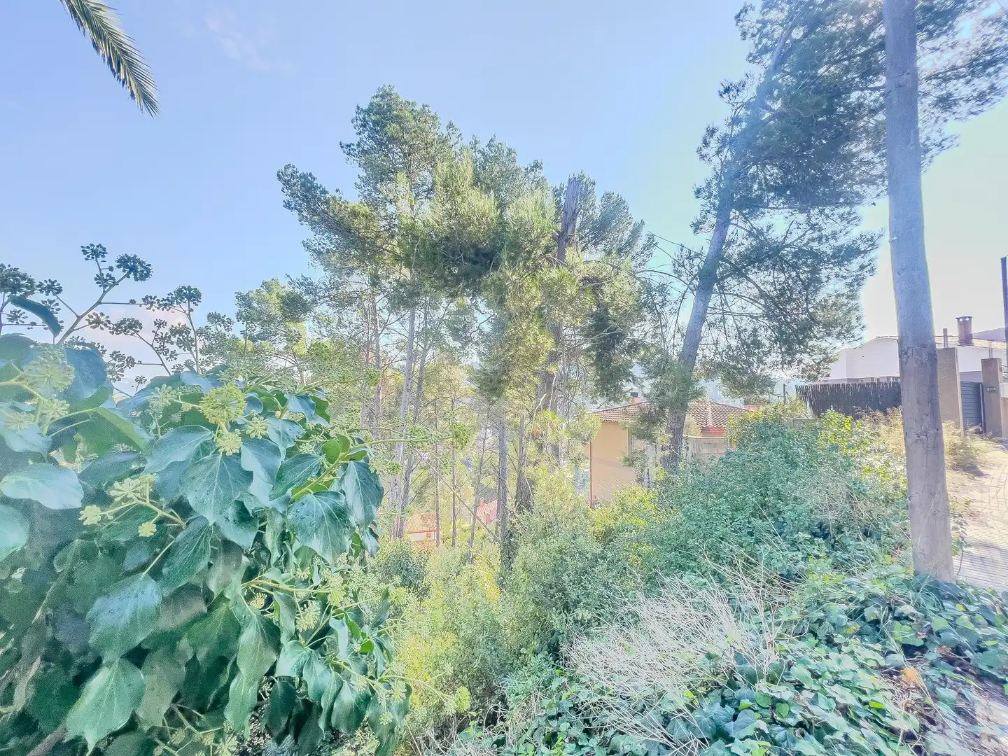 Jardí de Residencial en venda en Cervelló