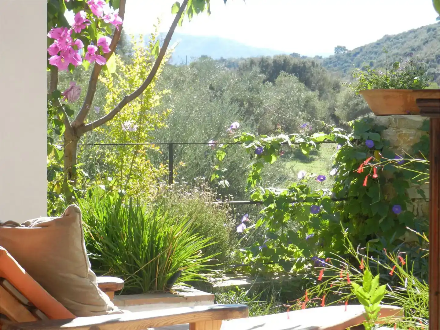Jardín de Casa o chalet de alquiler en Cortes de la Frontera, Málaga