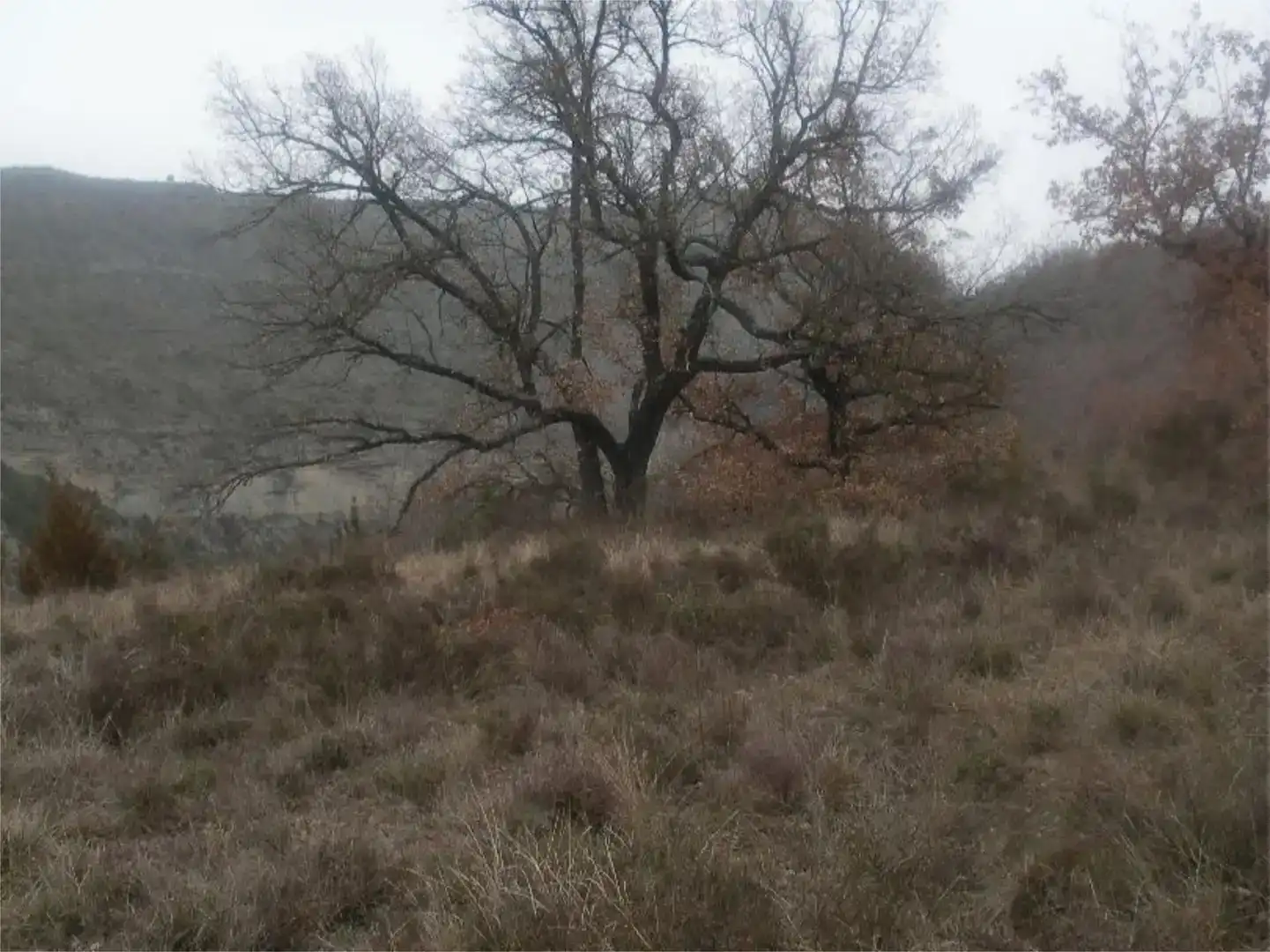 Finca rústica en venda en Sant Esteve de la Sarga, Lleida