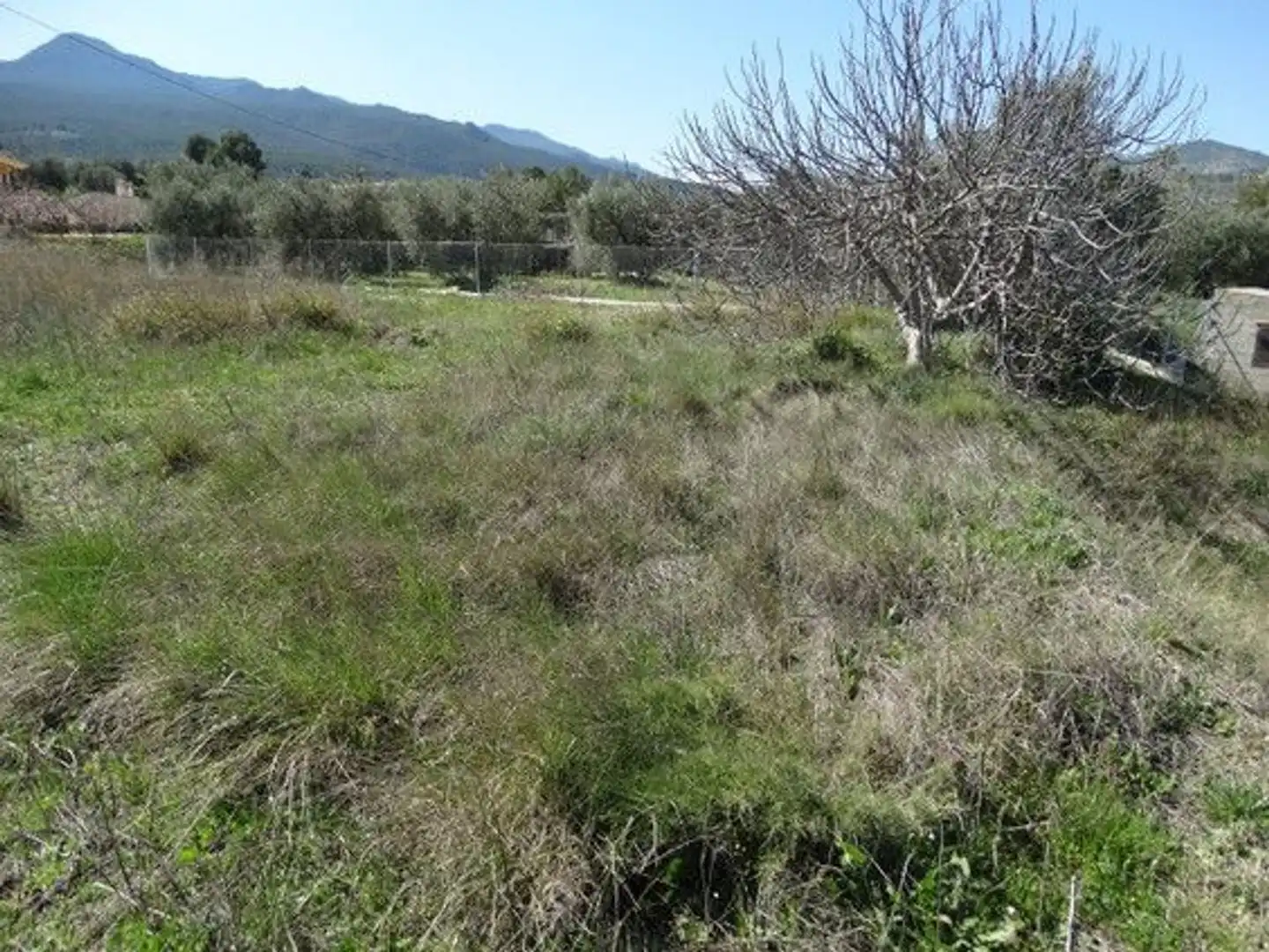 Terreny rústic en venda a Moratalla, imagen 14